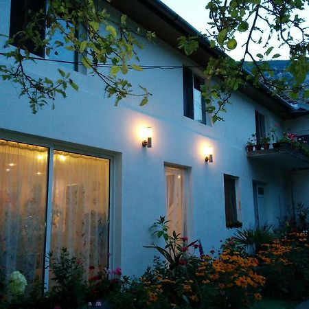Pension Casa Anadam Băile Herculane Eksteriør billede