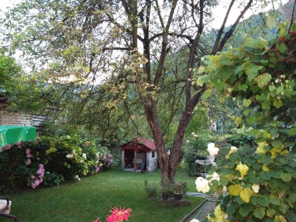 Pension Casa Anadam Băile Herculane Eksteriør billede