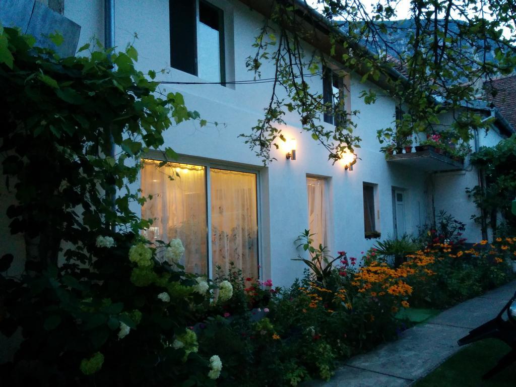 Pension Casa Anadam Băile Herculane Eksteriør billede